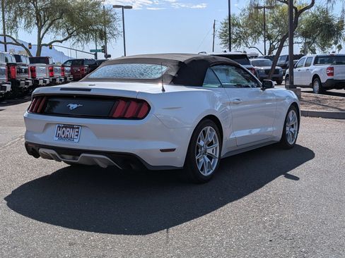 Used 2017 Ford Mustang Premium w/ Ecoboost Performance Package RWD image 5