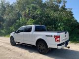 Used 2020 Ford F150 XLT w/ Equipment Group 302A Luxury image 3