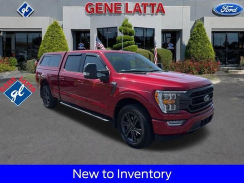 Used 2021 Ford F150 XLT w/ Equipment Group 302A High image 1