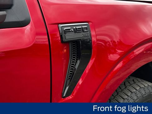 New 2025 Ford F150 XLT w/ Equipment Group 301A Standard image 16