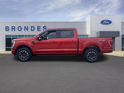 Used 2023 Ford F150 XLT w/ Equipment Group 302A High
