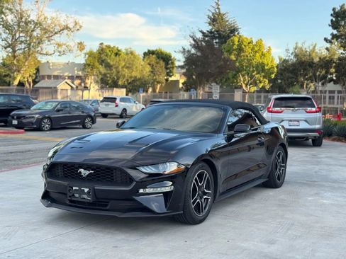 Used 2019 Ford Mustang Premium image 7