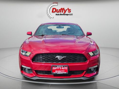 Used 2015 Ford Mustang Premium w/ Equipment Group 201A RWD image 12