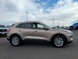Used 2020 Ford Escape SE image 6