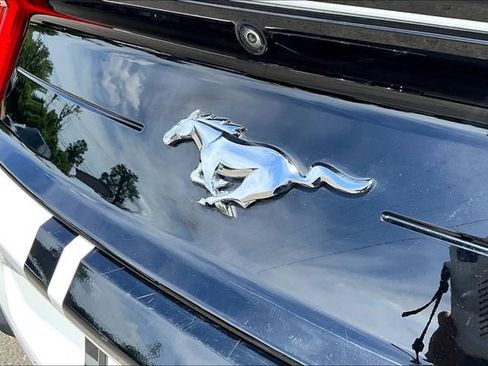 Used 2021 Ford Mustang Coupe w/ Equipment Group 101A image 32