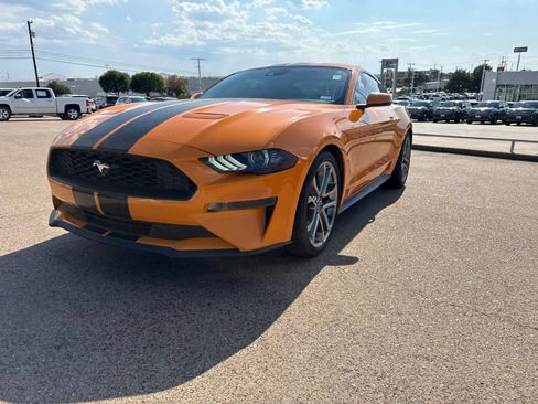 Used 2018 Ford Mustang Premium w/ Equipment Group 201A RWD image 3