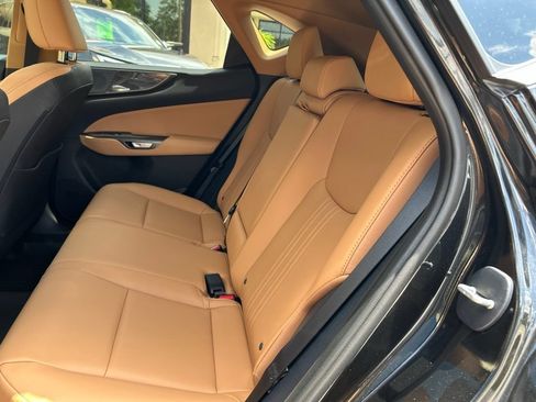 Used 2025 Lexus NX 250 FWD w/ Accessory Package (Z1) image 13