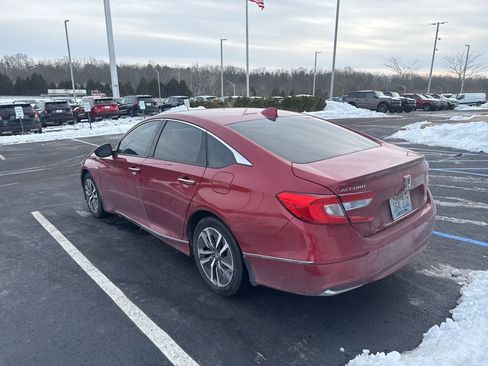 Used 2019 Honda Accord Touring image 5
