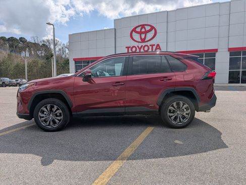 Used 2025 Toyota RAV4 XLE Premium image 2