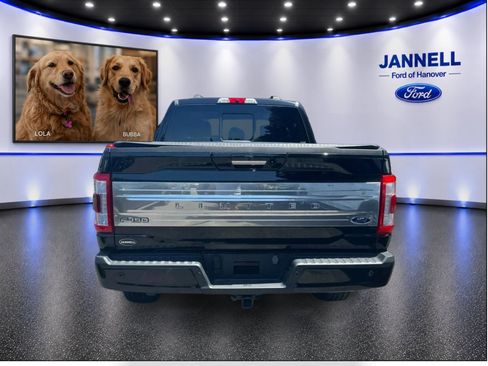 Used 2023 Ford F150 Limited AWD/4WD image 7
