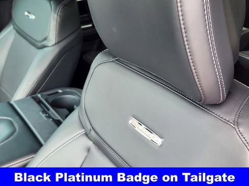 New 2026 Ford Expedition Platinum w/ Stealth Appearance Package AWD/4WD image 15