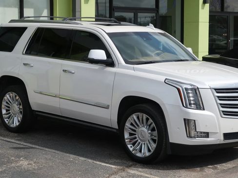 Used 2017 Cadillac Escalade Platinum AWD/4WD image 5