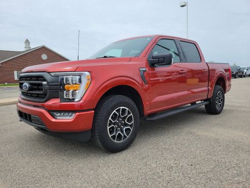 Used 2023 Ford F150 XLT w/ Equipment Group 302A High AWD/4WD image 37