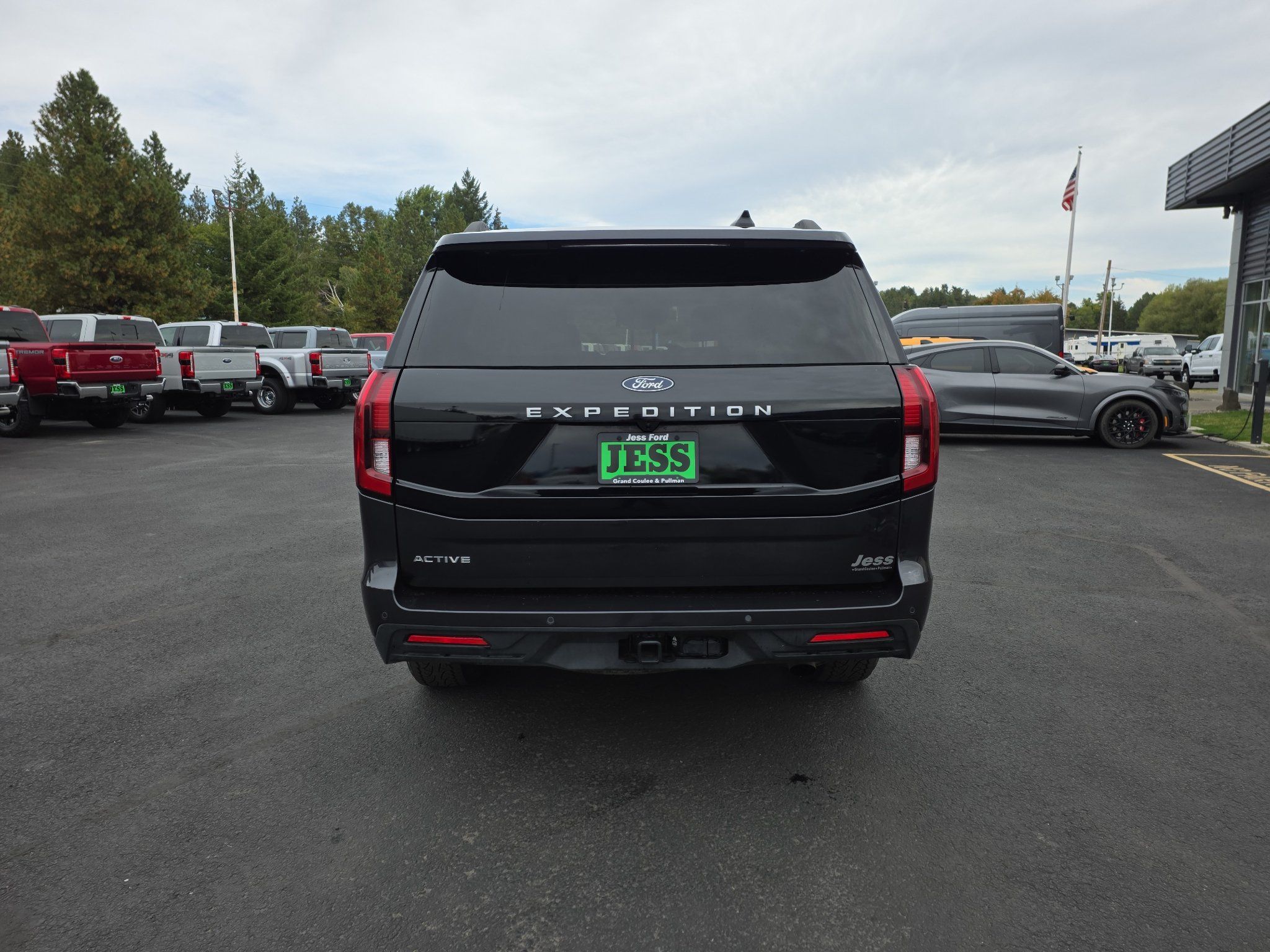 Used 2025 Ford Expedition Active AWD/4WD image 19