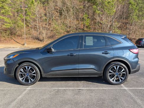 Used 2022 Ford Escape SE w/ SE Sport Appearance Package image 6