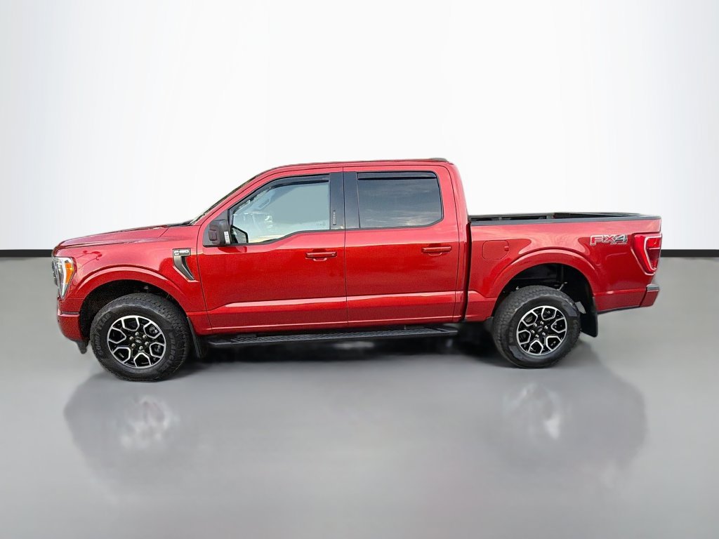 Used 2023 Ford F150 XLT w/ Equipment Group 302A High AWD/4WD image 4