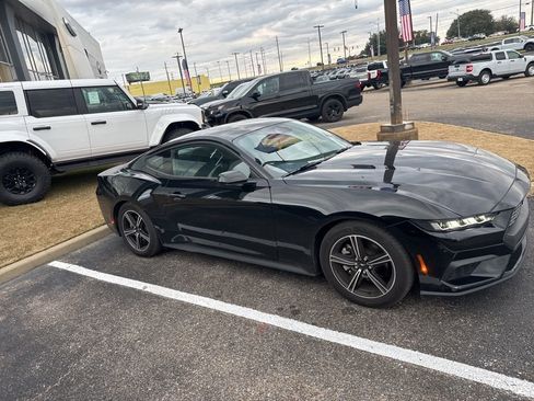 Used 2024 Ford Mustang Coupe image 14