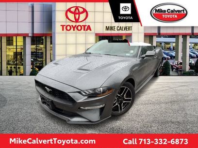 Used 2019 Ford Mustang Premium