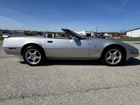 Used 1996 Chevrolet Corvette Convertible image 5