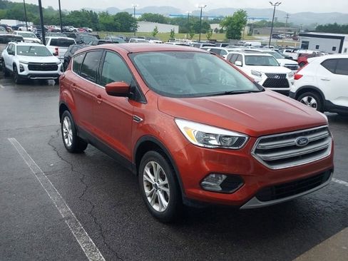 Used 2019 Ford Escape SE AWD/4WD image 2