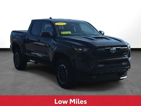 Certified 2025 Toyota Tacoma TRD Sport image 4