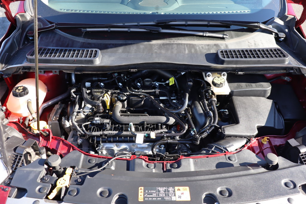 Used 2019 Ford Escape SE FWD image 34