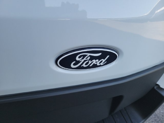 New 2027 Ford Transit 250 148 Medium Roof w/ Load Area Protection Package RWD image 13