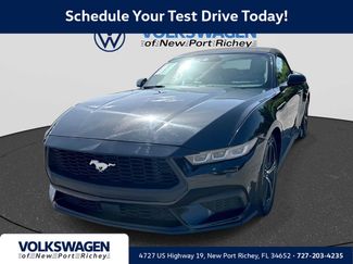 Used 2024 Ford Mustang Premium RWD video 1