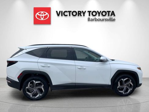 Used 2024 Hyundai Tucson Limited AWD/4WD image 6