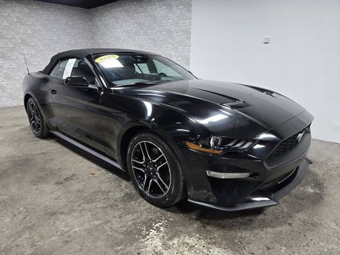 Used 2023 Ford Mustang Premium image 2