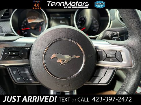 Used 2019 Ford Mustang Coupe w/ Black Accent Package image 12