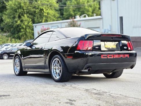 Used 2003 Ford Mustang Cobra RWD image 6