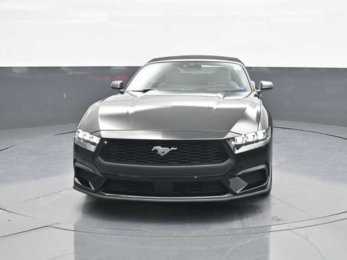 Used 2025 Ford Mustang Premium RWD image 3