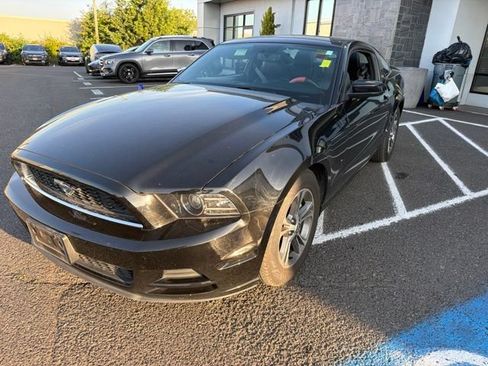 Used 2014 Ford Mustang Premium RWD image 3