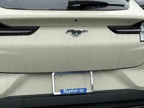 New 2026 Ford Mustang Mach-E Premium w/ Technology Package image 8