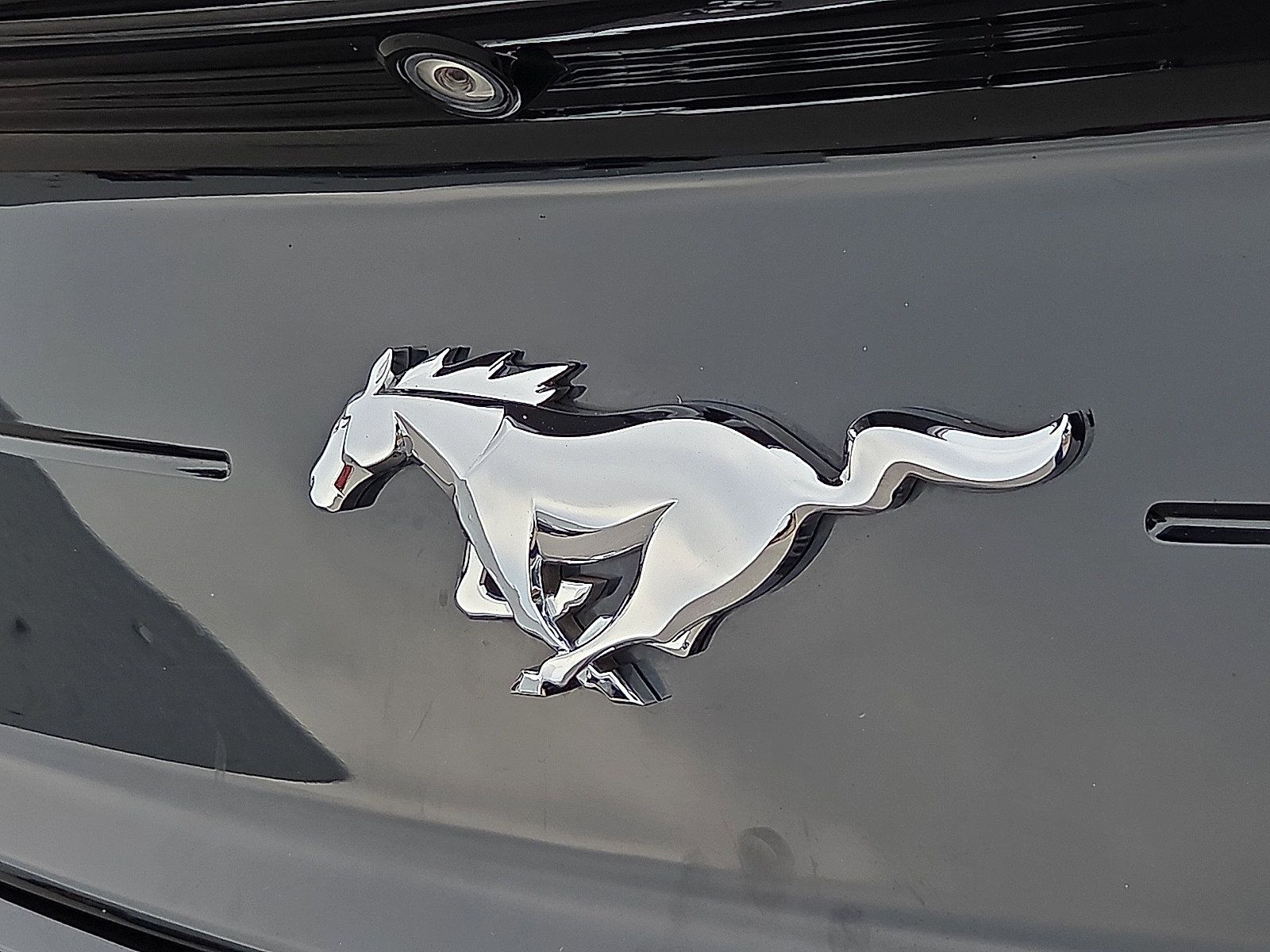 Used 2019 Ford Mustang Coupe RWD image 9