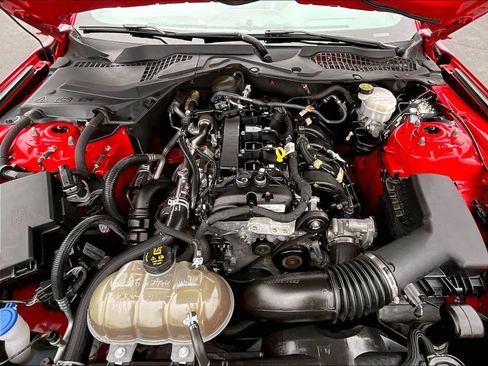 Used 2022 Ford Mustang Premium image 12