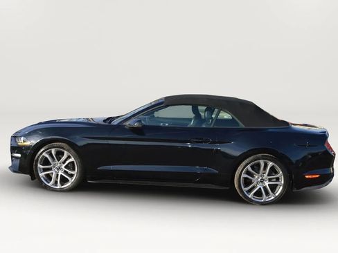 Used 2019 Ford Mustang Premium w/ Equipment Group 201A RWD image 3