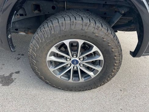 Used 2019 Ford F150 XLT w/ Equipment Group 302A Luxury AWD/4WD image 13