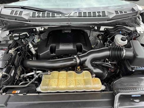 Used 2019 Ford F150 XLT w/ Equipment Group 302A Luxury AWD/4WD image 48