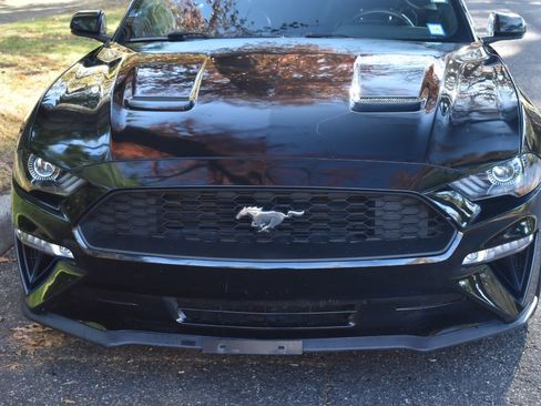 Used 2019 Ford Mustang Premium image 42