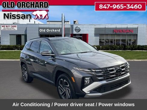 Used 2025 Hyundai Tucson Limited AWD/4WD image 5