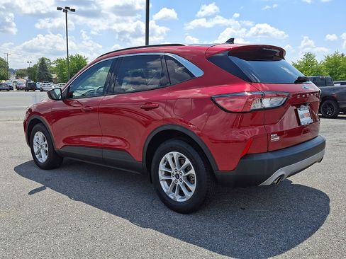 Used 2020 Ford Escape SE AWD/4WD image 4
