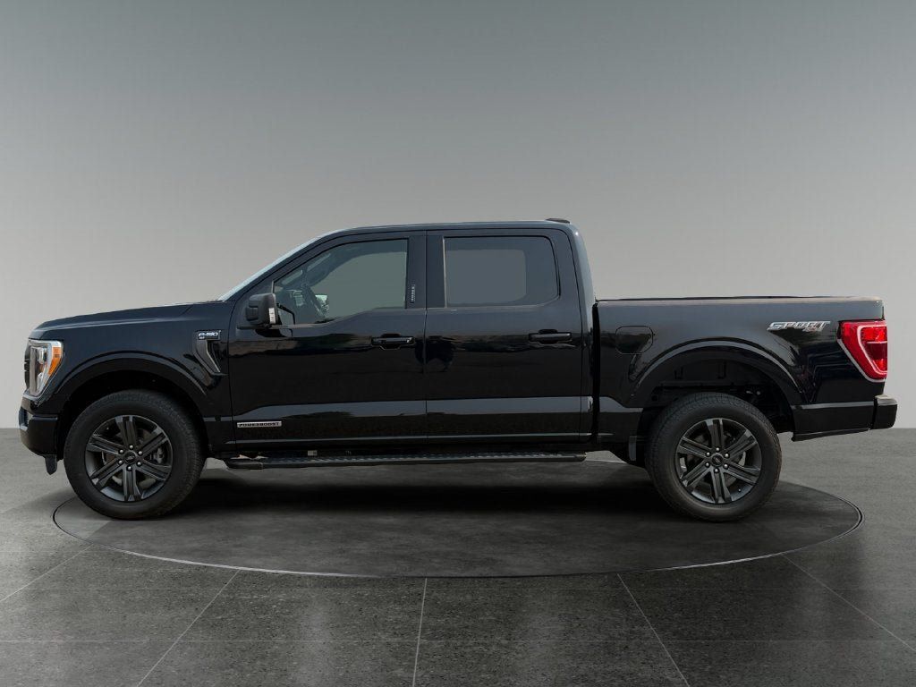 Used 2023 Ford F150 XLT w/ Equipment Group 302A High AWD/4WD image 6