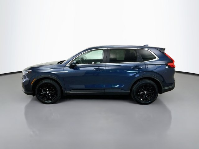 Used 2025 Honda CR-V EX image 4