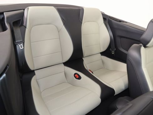 Used 2019 Ford Mustang GT Premium w/ Black Accent Package image 16