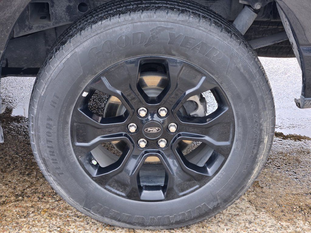 Used 2022 Ford F150 XL w/ STX Black Appearance Package RWD image 8
