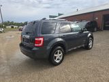 Used 2010 Ford Escape Limited image 3