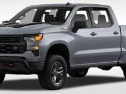 Used 2024 Chevrolet Silverado 1500 LT Trail Boss w/ Convenience Package II