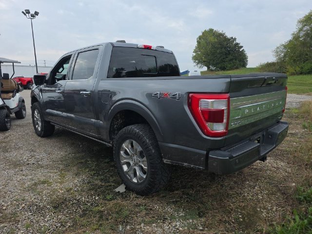 Used 2023 Ford F150 Platinum w/ Equipment Group 701A High AWD/4WD image 4